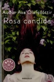 Rosa Candida