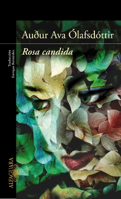 Bertrand.pt - Rosa Candida