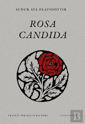 Rosa Candida