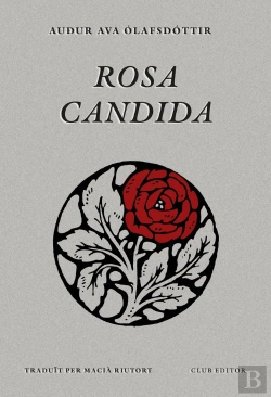 Bertrand.pt - Rosa Candida
