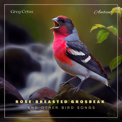 Bertrand.pt - Rose-Breasted Grosbeak And Other Bird Songs
