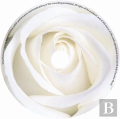 Rose Card