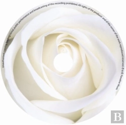 Bertrand.pt - Rose Card