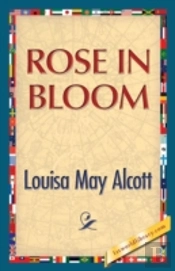 Rose In Bloom