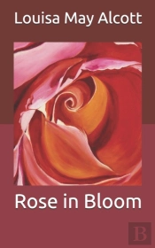 Rose In Bloom