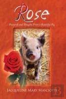 Rose - Postcards And Thoughts From A Beautiful Pig