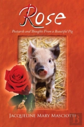 Rose - Postcards And Thoughts From A Beautiful Pig