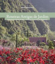 Roseiras Antigas de Jardim