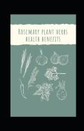 Rosemary Plant Herbs Health Benefits