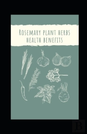 Rosemary Plant Herbs Health Benefits