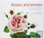 Roses Anciennes