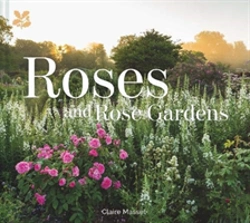 Bertrand.pt - Roses And Rose Gardens