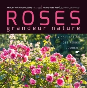 Roses Grandeur Nature ; La Collection Des Roses Loubert