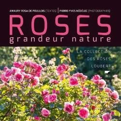 Bertrand.pt - Roses Grandeur Nature ; La Collection Des Roses Loubert