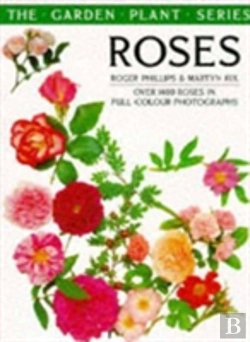 Bertrand.pt - Roses