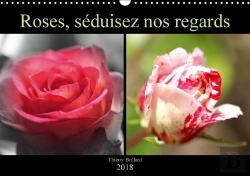 Bertrand.pt - Roses Seduisez Nos Regards Calendrier Mural 2018 Din A3 Horizontal