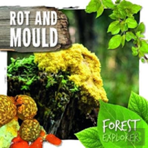 Rot & Mould