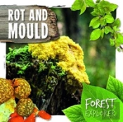 Rot & Mould