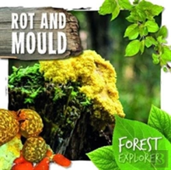 Bertrand.pt - Rot & Mould