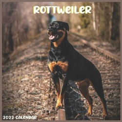 Bertrand.pt - Rottweiler 2022 Calendar