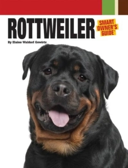 Bertrand.pt - Rottweiler