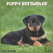 Rottweiler Puppy 2022 Calendar