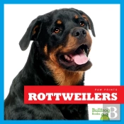 Rottweilers