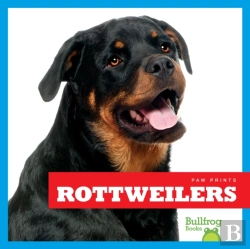 Bertrand.pt - Rottweilers
