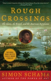 Rough Crossings