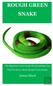 Rough Green Snake