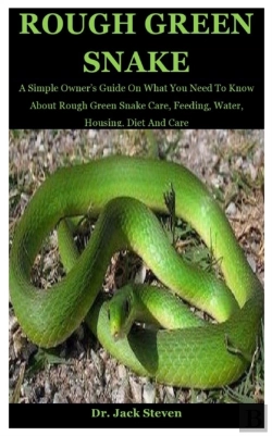 Bertrand.pt - Rough Green Snake