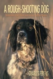 Rough-Shooting Dog