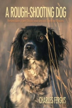 Bertrand.pt - Rough-Shooting Dog
