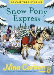 Rowan Tree Stables 3 - Snow Pony Express