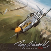 Roy Grinnel Peintre Des As