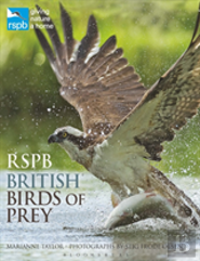 Rspb British Birds Of Prey