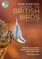 Rspb Everyday Guide To British Birds