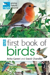 Rspb First Book Of Birds