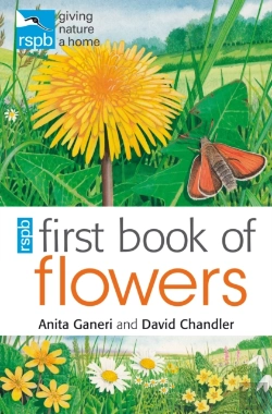 Bertrand.pt - Rspb First Book Of Flowers