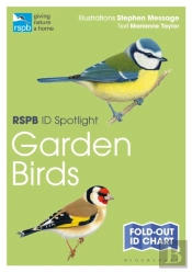 Rspb Id Spotlight Â€“ Garden Birds