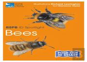 Rspb Id Spotlight - Bees