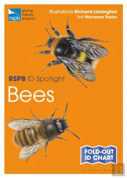 Bertrand.pt - Rspb Id Spotlight - Bees