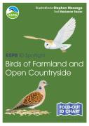 Rspb Id Spotlight - Birds Of Farmland And Open Countryside