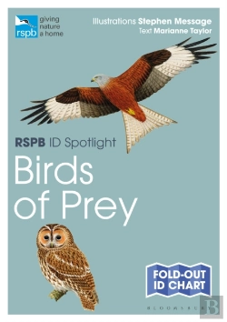 Bertrand.pt - Rspb Id Spotlight - Birds Of Prey