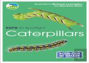 Rspb Id Spotlight - Caterpillars