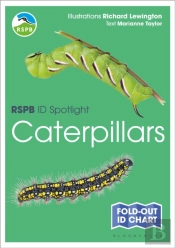 Rspb Id Spotlight - Caterpillars