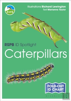 Bertrand.pt - Rspb Id Spotlight - Caterpillars