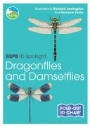 Rspb Id Spotlight - Dragonflies And Damselflies