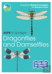 Rspb Id Spotlight - Dragonflies And Damselflies