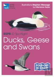 Rspb Id Spotlight - Ducks, Geese And Swans